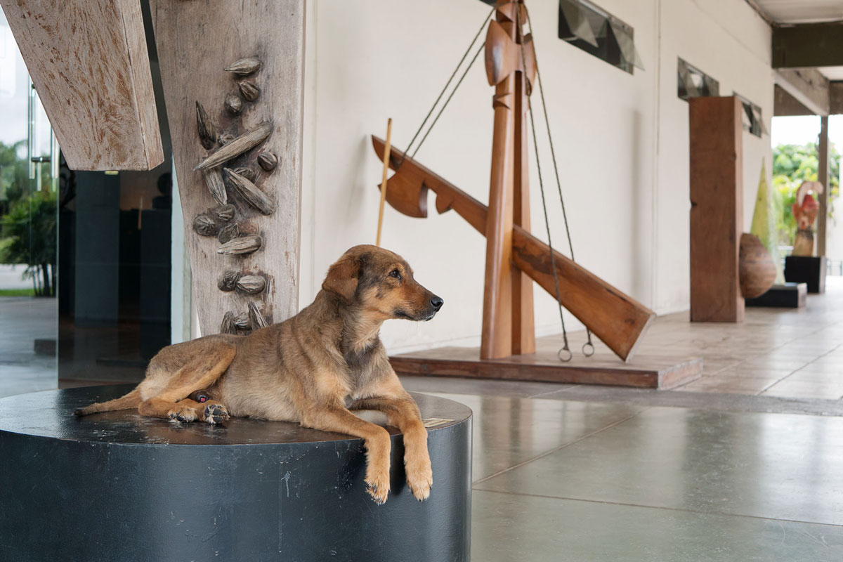 Resistencia chaco argentina escultura perro