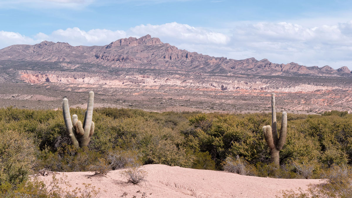 Parc National Los Cardones catcus montagnes colorées