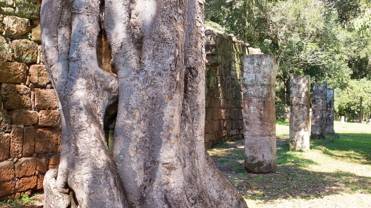 Mission jésuite guarani san ignacio mini colonne arbre