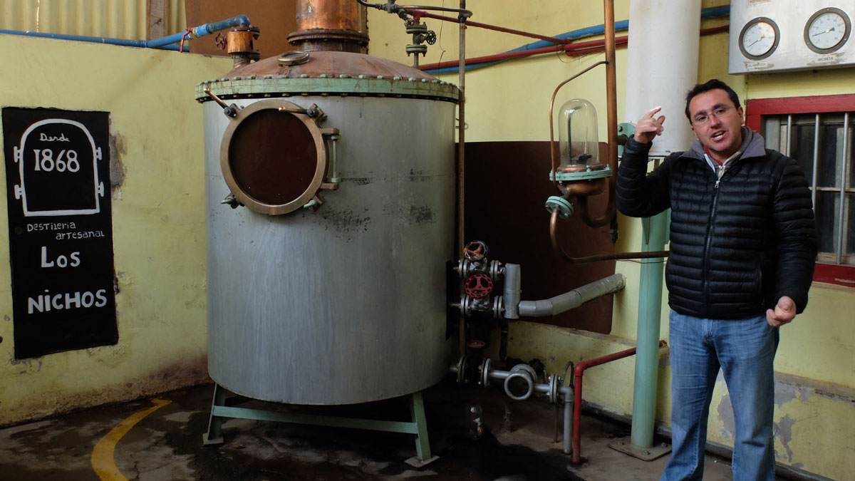 Chili Valle del Elqui visite distillerie pisco los nichos