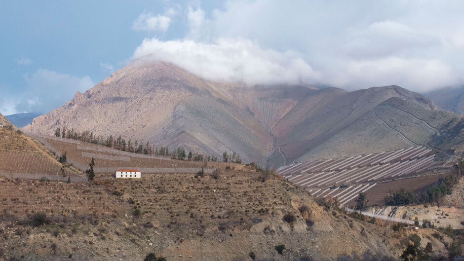 La Valle del Elqui et son Pisco