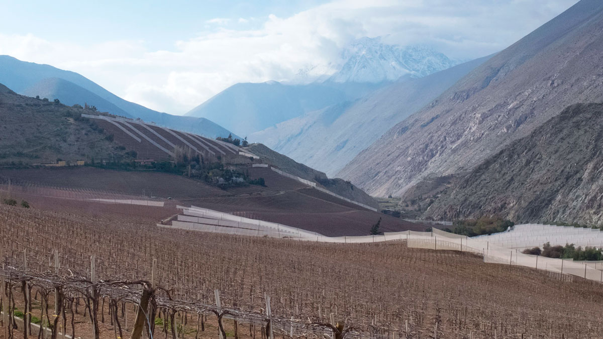Chili Valle del Elqui paysage de vignobles