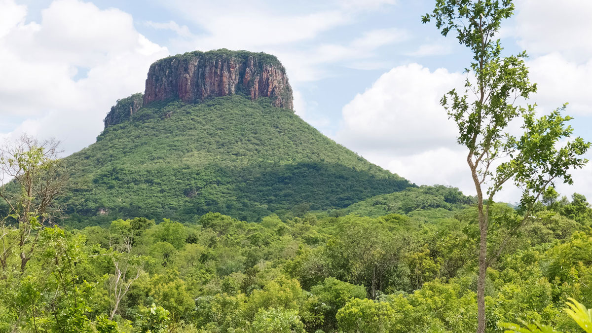 Paraguay Cordillera Amambay Cerro Guazu