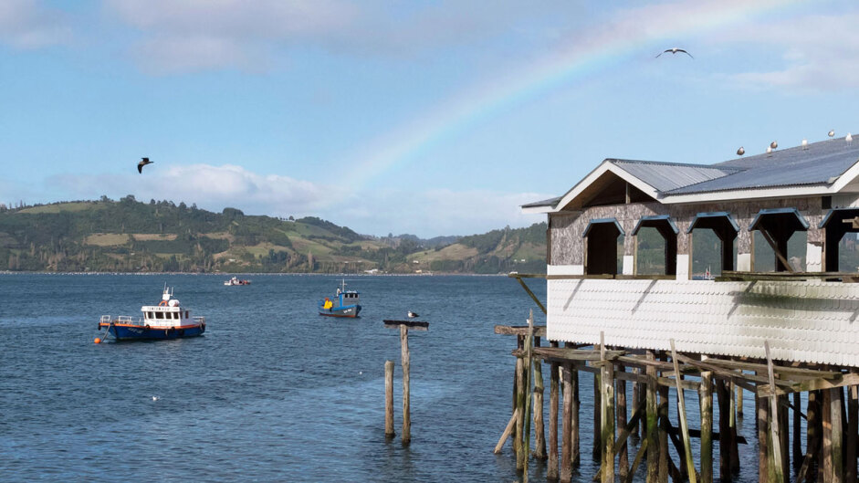Île de Chiloé : nature, églises et pilotis…